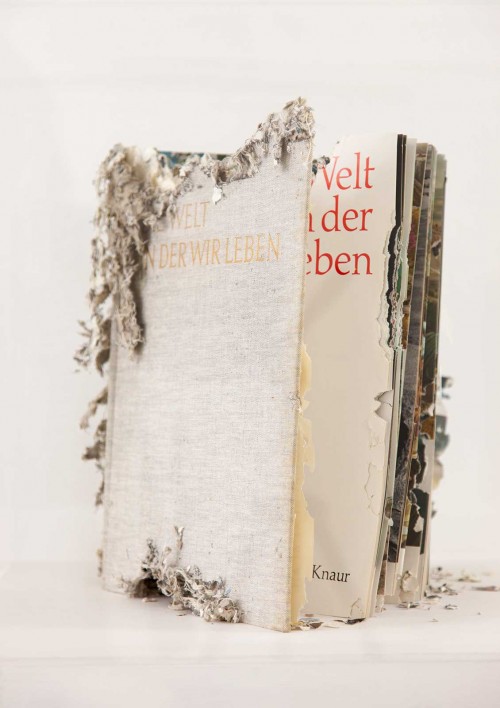 THE WORLD WE LIVE IN