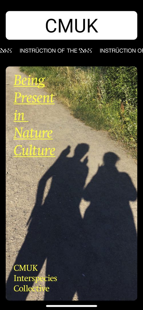 Being Present in Nature Culture