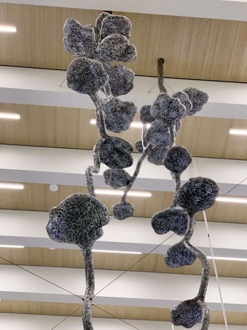 König*Innen