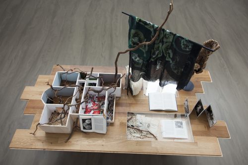 Dollhouse for Dinosaurs